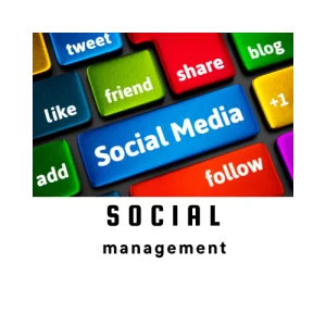 social media manager